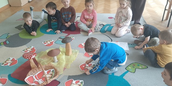 Chłopiec przelicza kropki muchomora.jpg
