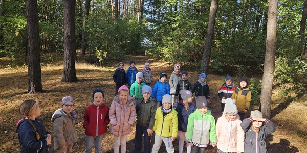 grupa dzieci w lesie (2).jpg